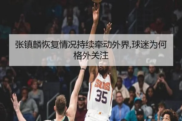 张镇麟恢复情况持续牵动外界,球迷为何格外关注